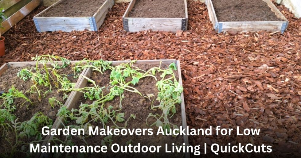Garden makeovers in Auckland featuring raised garden beds, bark mulch, and organized planting areas.