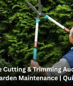 Hedge Cutting & Trimming Auckland: Easy Garden Maintenance | QuickCuts