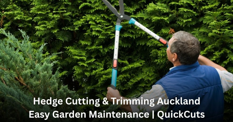 Professional hedge cutting and trimming Auckland service maintaining neat and well-shaped garden hedges.