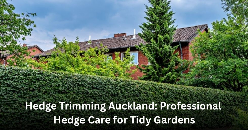 Neatly trimmed green hedge outside a residential property, showcasing professional hedge trimming in Auckland.