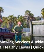 Lawn Mowing Services Auckland for Neat, Healthy Lawns | QuickCuts