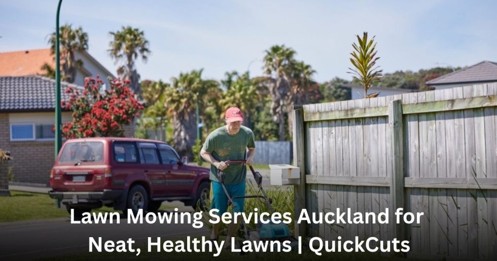 Lawn mowing professional trimming grass beside a residential fence in Auckland.