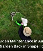 Need Garden Maintenance in Auckland? Get Your Garden Back in Shape | QuickCuts