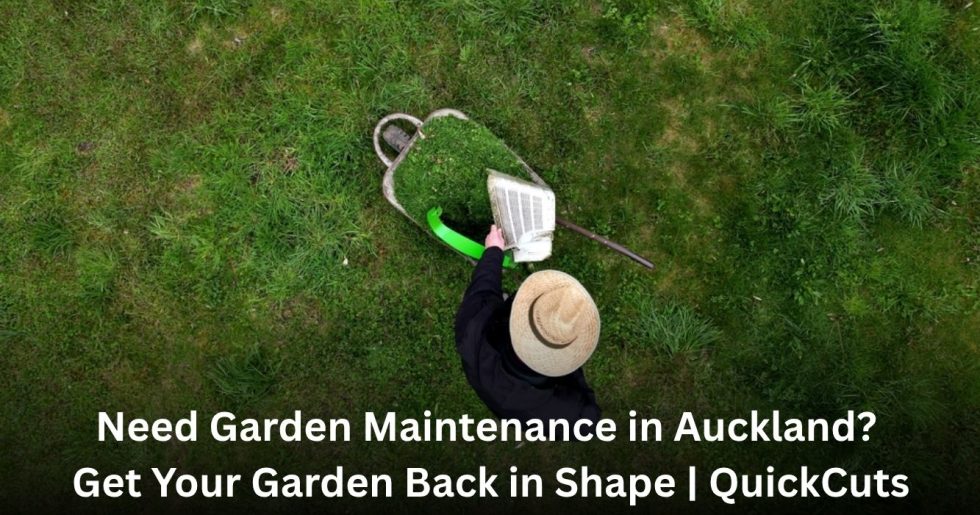 Professional garden maintenance in Auckland, with a gardener trimming grass to keep the lawn neat and tidy.